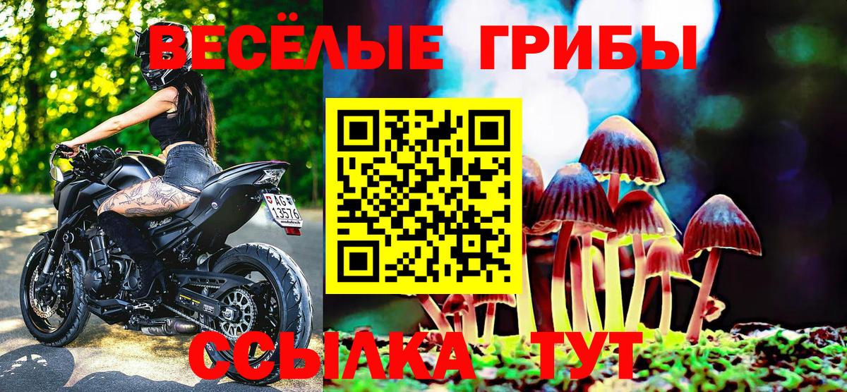 Галлюциногенные грибы Cubensis  Вход с VPN  Новороссийск  Галлюциногенные грибы мицелий 